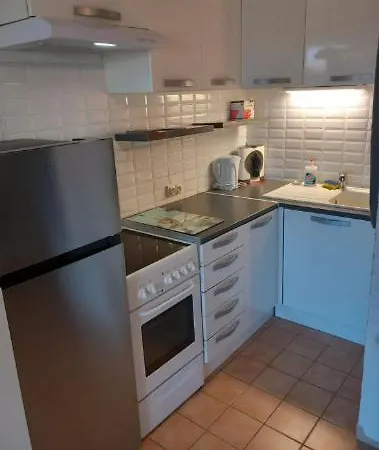 Apartment Avec Jardin, Vue Sur Etang , Proximite Ayguades *