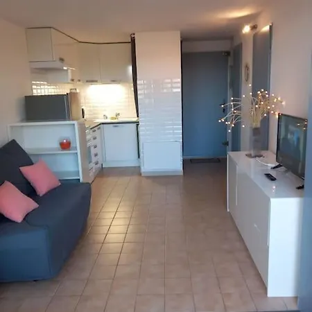 Appartamento Avec Jardin, Vue Sur étang , Proximité Ayguades *